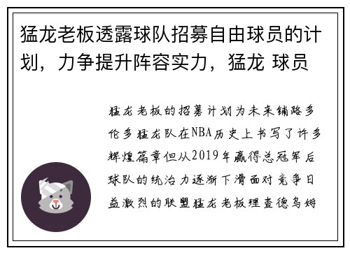 猛龙老板透露球队招募自由球员的计划，力争提升阵容实力，猛龙 球员