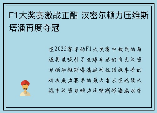 F1大奖赛激战正酣 汉密尔顿力压维斯塔潘再度夺冠