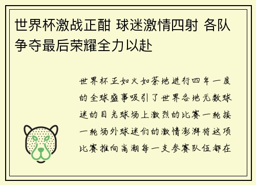 世界杯激战正酣 球迷激情四射 各队争夺最后荣耀全力以赴